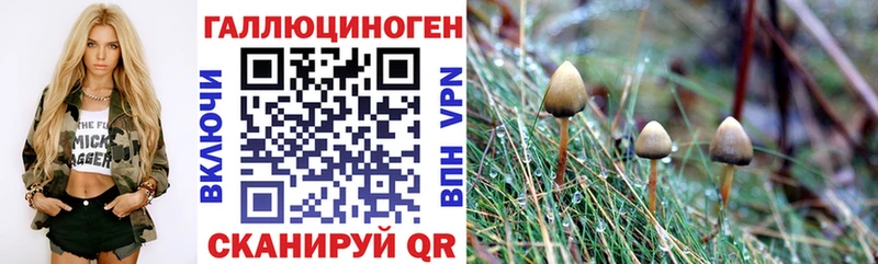 купить  цена  Строитель  мориарти наркотические препараты  Псилоцибиновые грибы MAGIC MUSHROOMS 